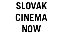 Slovak Cinema Now